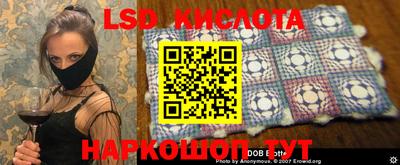 гашик Можга