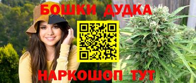 гашик Можга