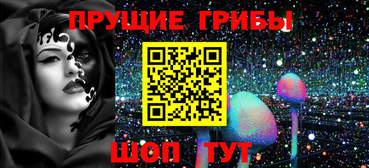Ступино  Псилоцибиновые грибы прущие грибы  Вход с VPN 